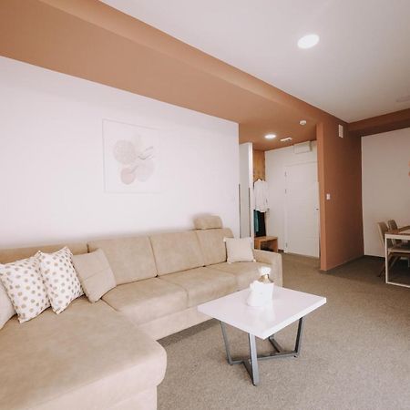 Atos Centar Apartment Celinac Bagian luar foto
