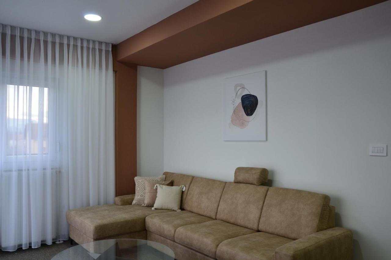 Atos Centar Apartment Celinac Bagian luar foto