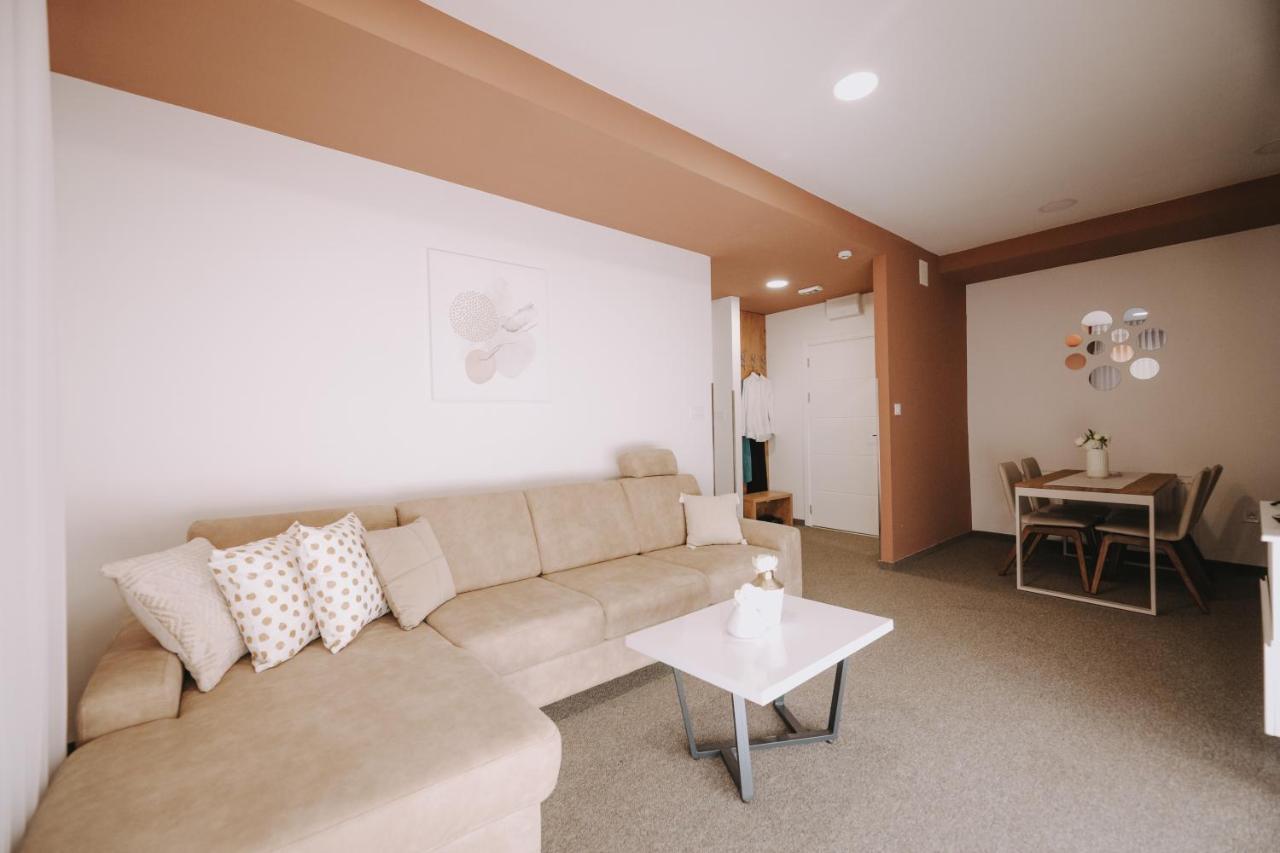 Atos Centar Apartment Celinac Bagian luar foto